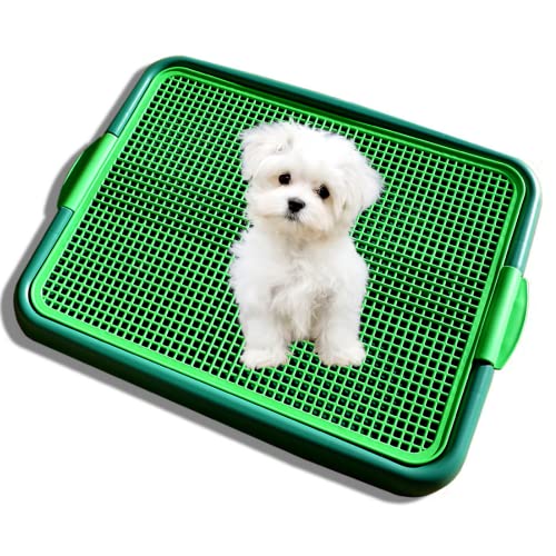 Blyss Pets Klean Paws Dog Toilet & Potty Pad Holder - No Torn Potty Pads - Keep Paws Dry - Protect Floors – Just Throw Away Pads for Easy Cleanup & Wipe Clean – for Puppies, Small Dogs & Cats