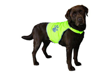 Chaleco de caza chaleco de seguridad para perros chaleco de advertencia para perros chaleco reflector para perros